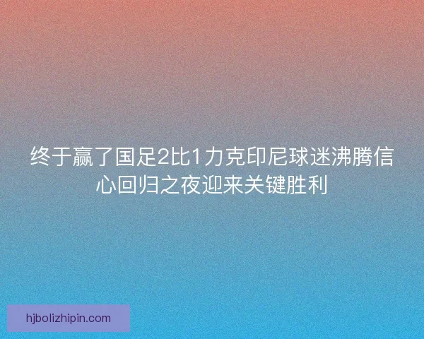 终于赢了国足2比1力克印尼球迷沸腾信心回归之夜迎来关键胜利