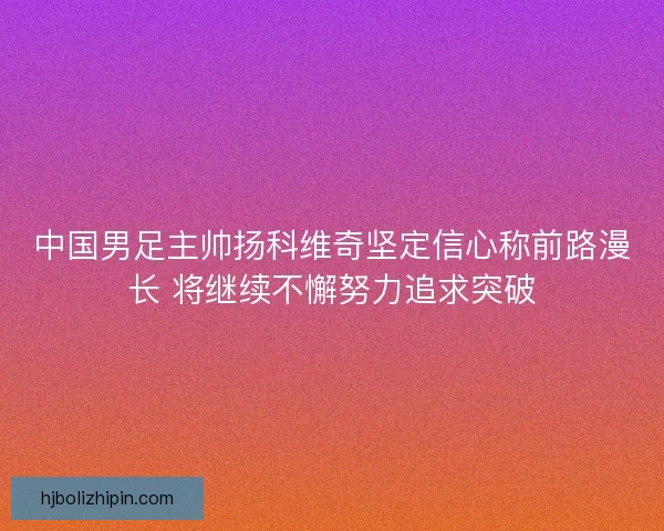 中国男足主帅扬科维奇坚定信心称前路漫长 将继续不懈努力追求突破
