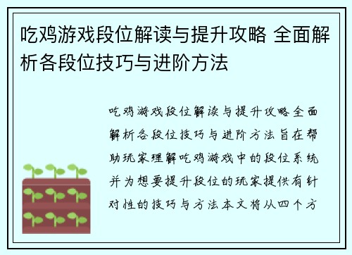 吃鸡游戏段位解读与提升攻略 全面解析各段位技巧与进阶方法